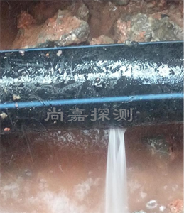 梁园消防管道漏点探测