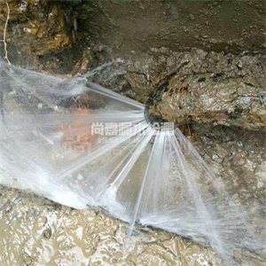 梁园自来水管道漏点检测